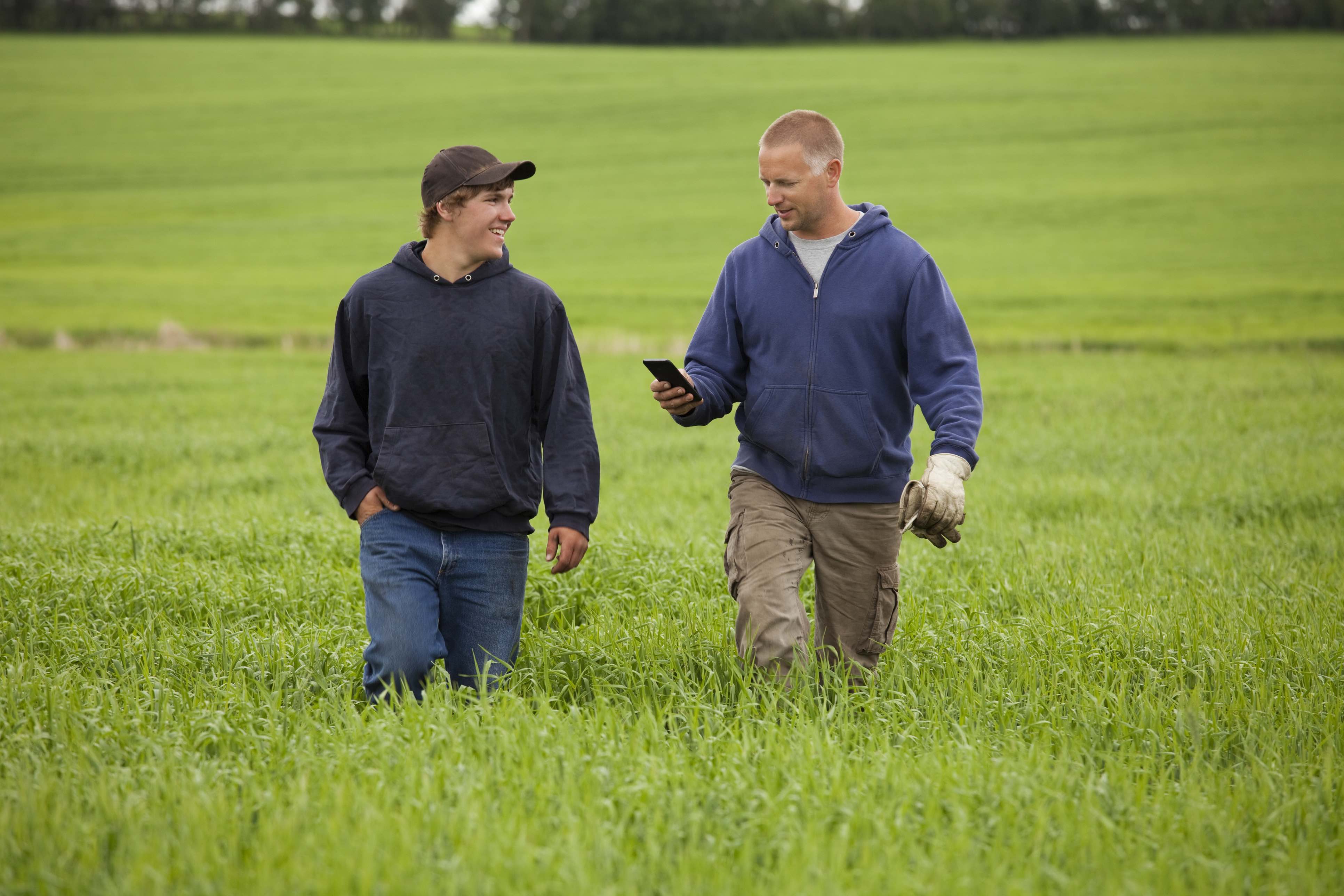 Farming father and son walking through their field. Father is checking his smartphone.